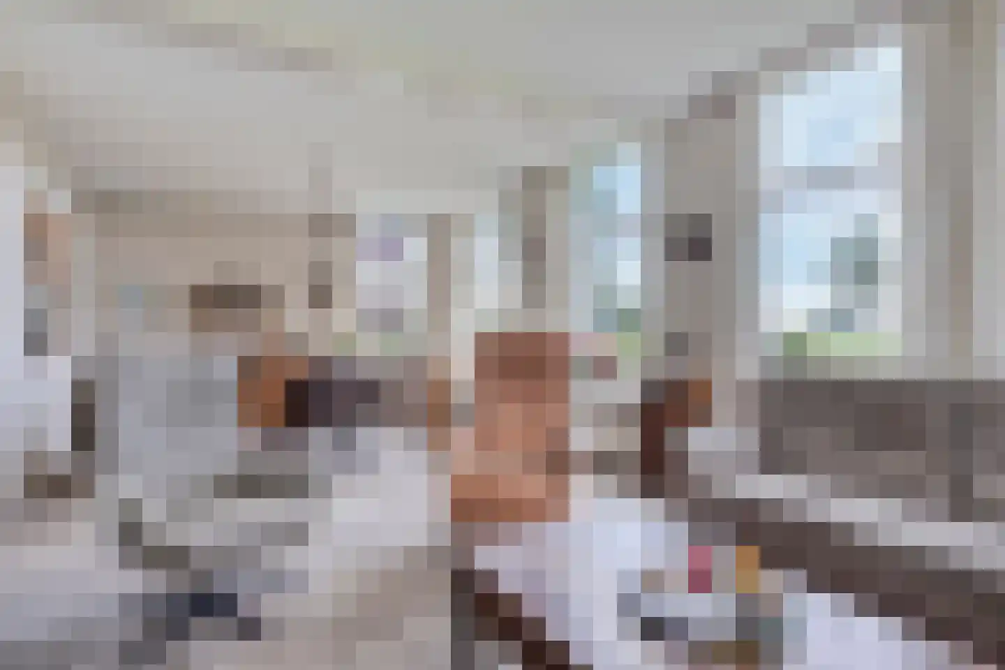 Iegepoeledijk 12 Langedijke thumbnail 10