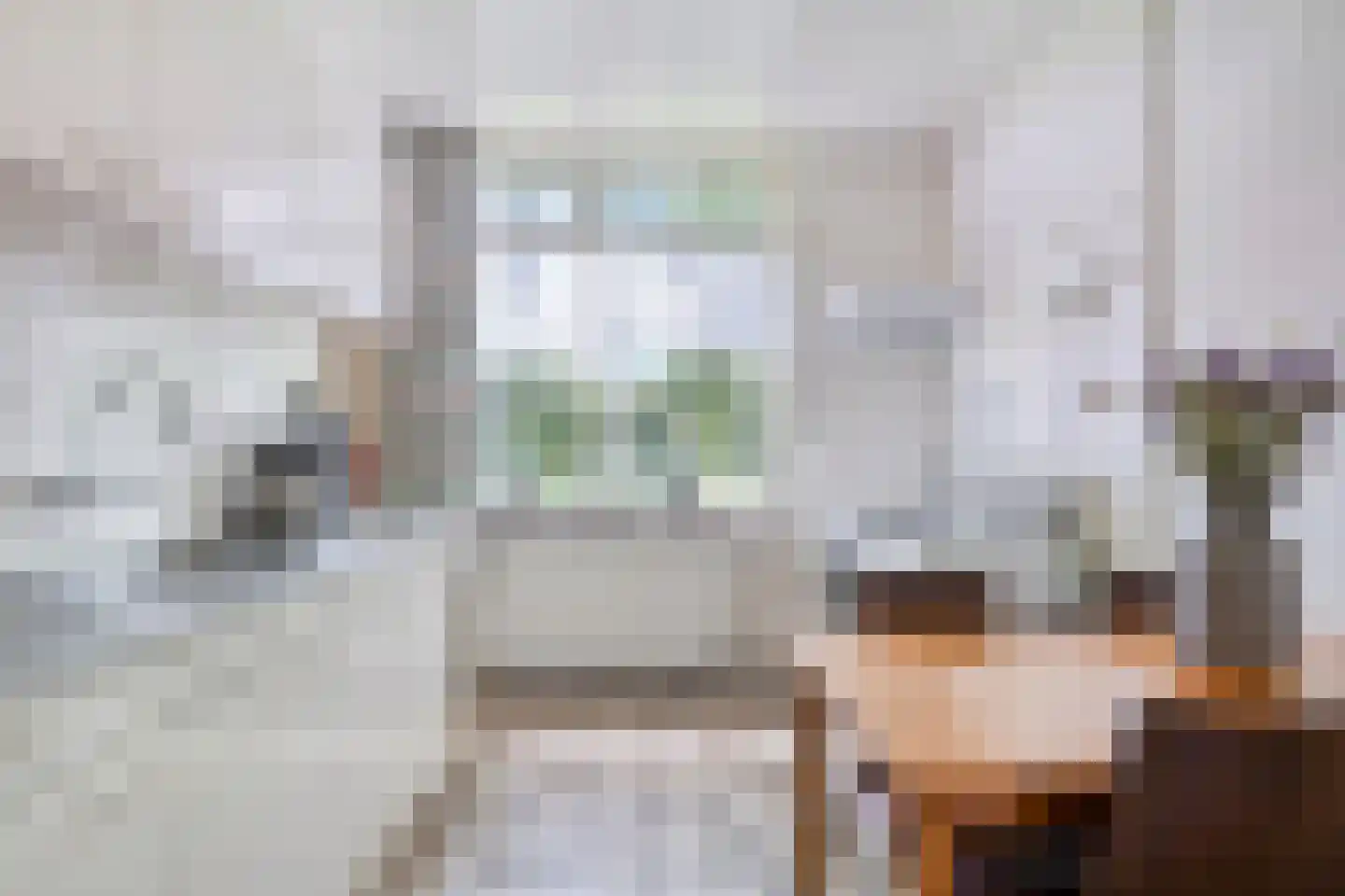Iegepoeledijk 12 Langedijke thumbnail 12