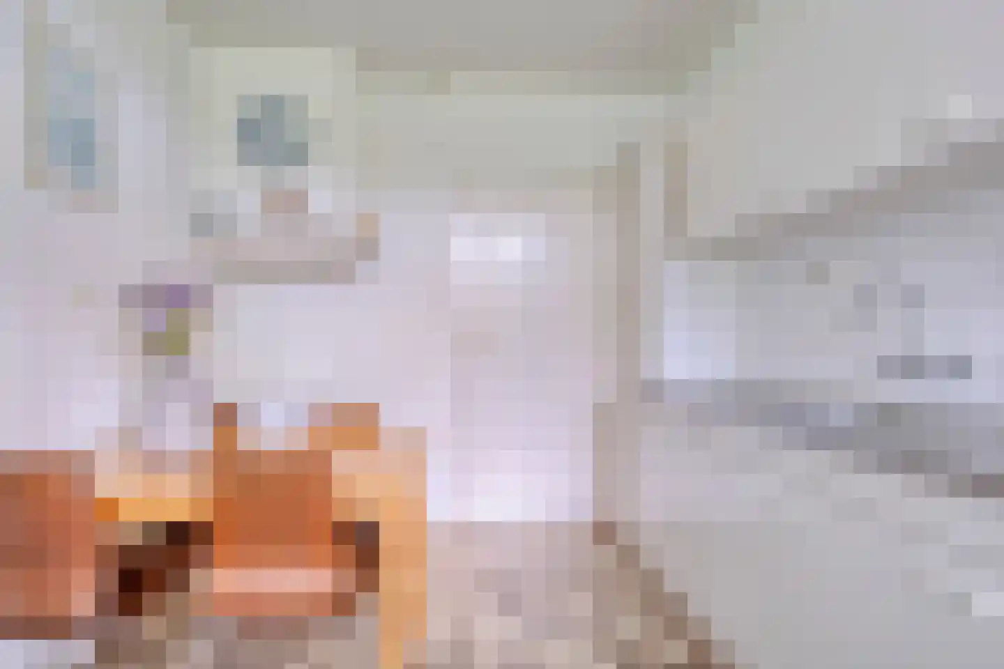 Iegepoeledijk 12 Langedijke thumbnail 13