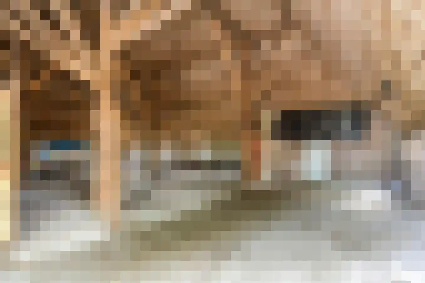 Iegepoeledijk 12 Langedijke thumbnail 17