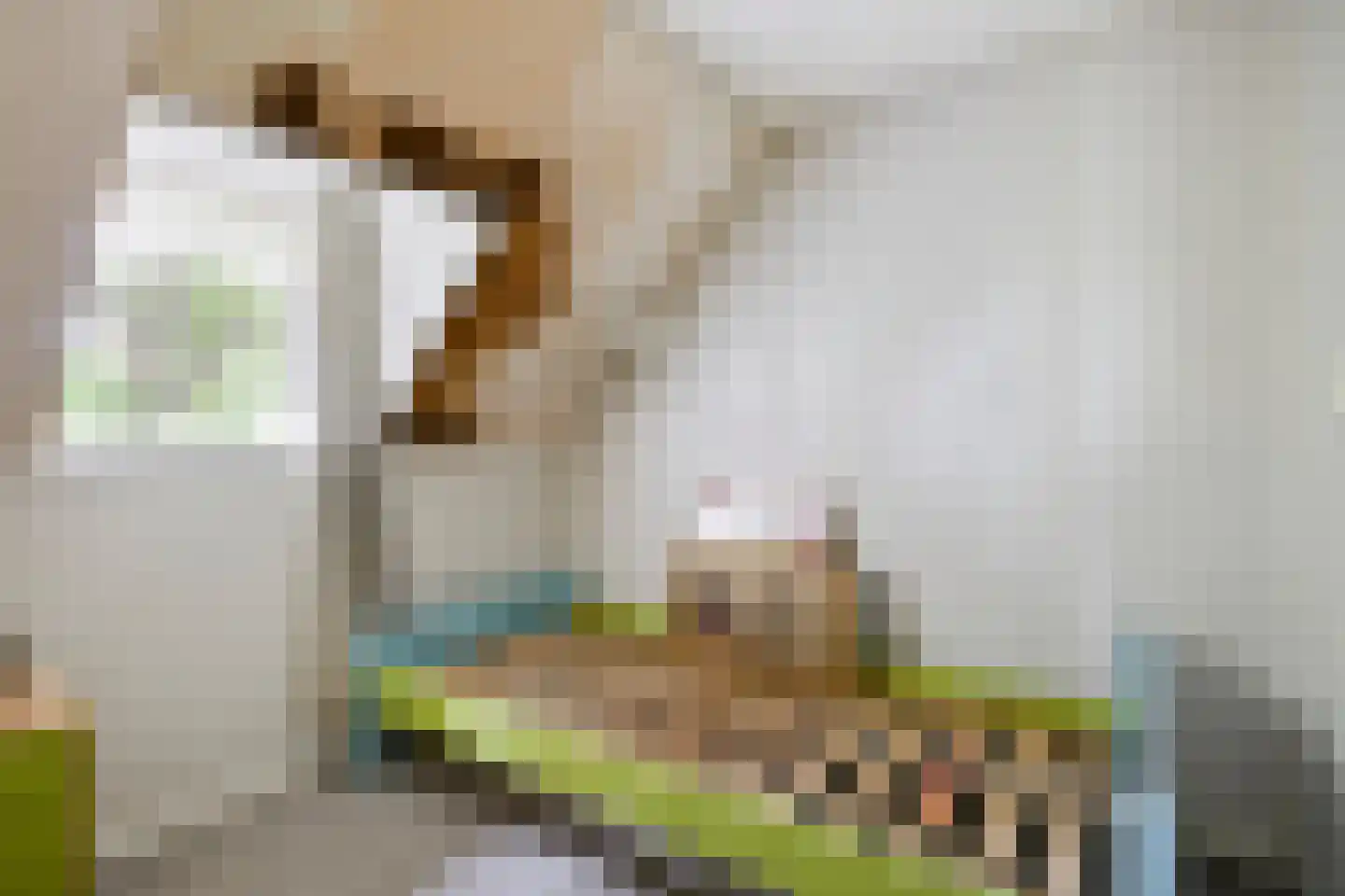 Iegepoeledijk 12 Langedijke thumbnail 22