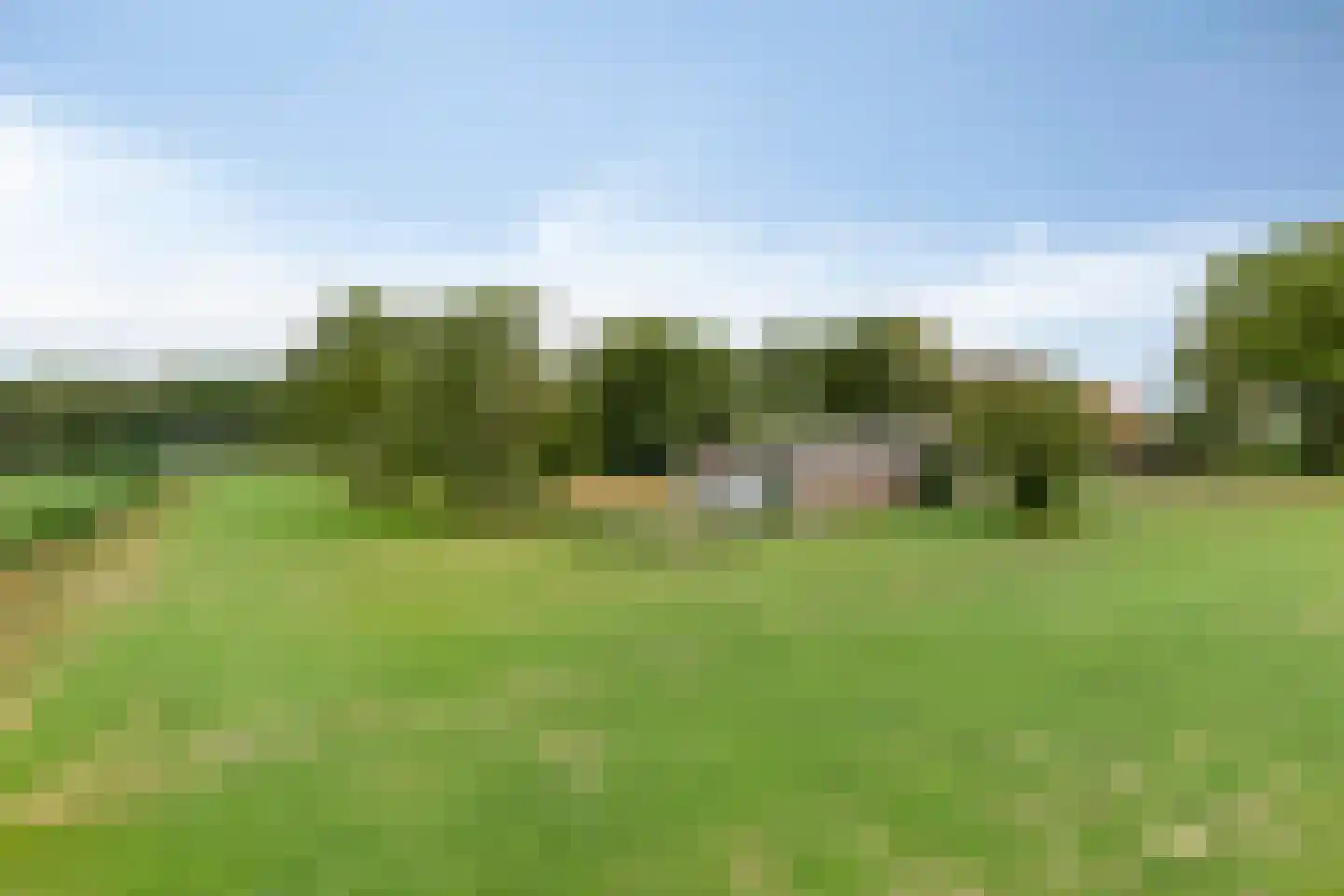 Iegepoeledijk 12 Langedijke foto 3