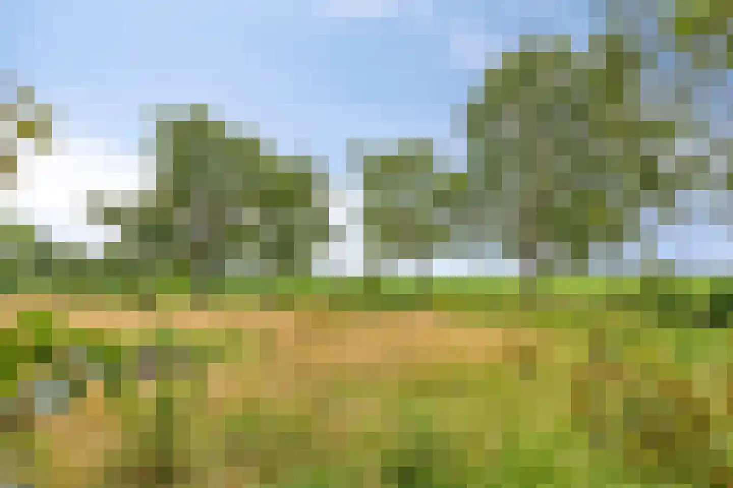 Iegepoeledijk 12 Langedijke thumbnail 31