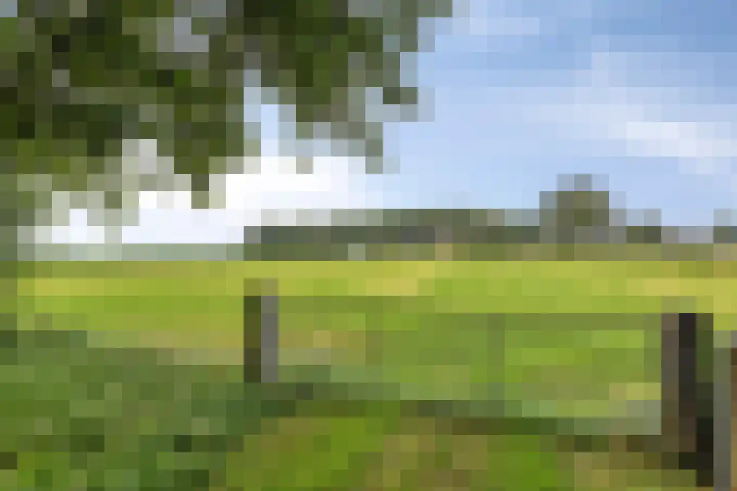 Iegepoeledijk 12 Langedijke thumbnail 33