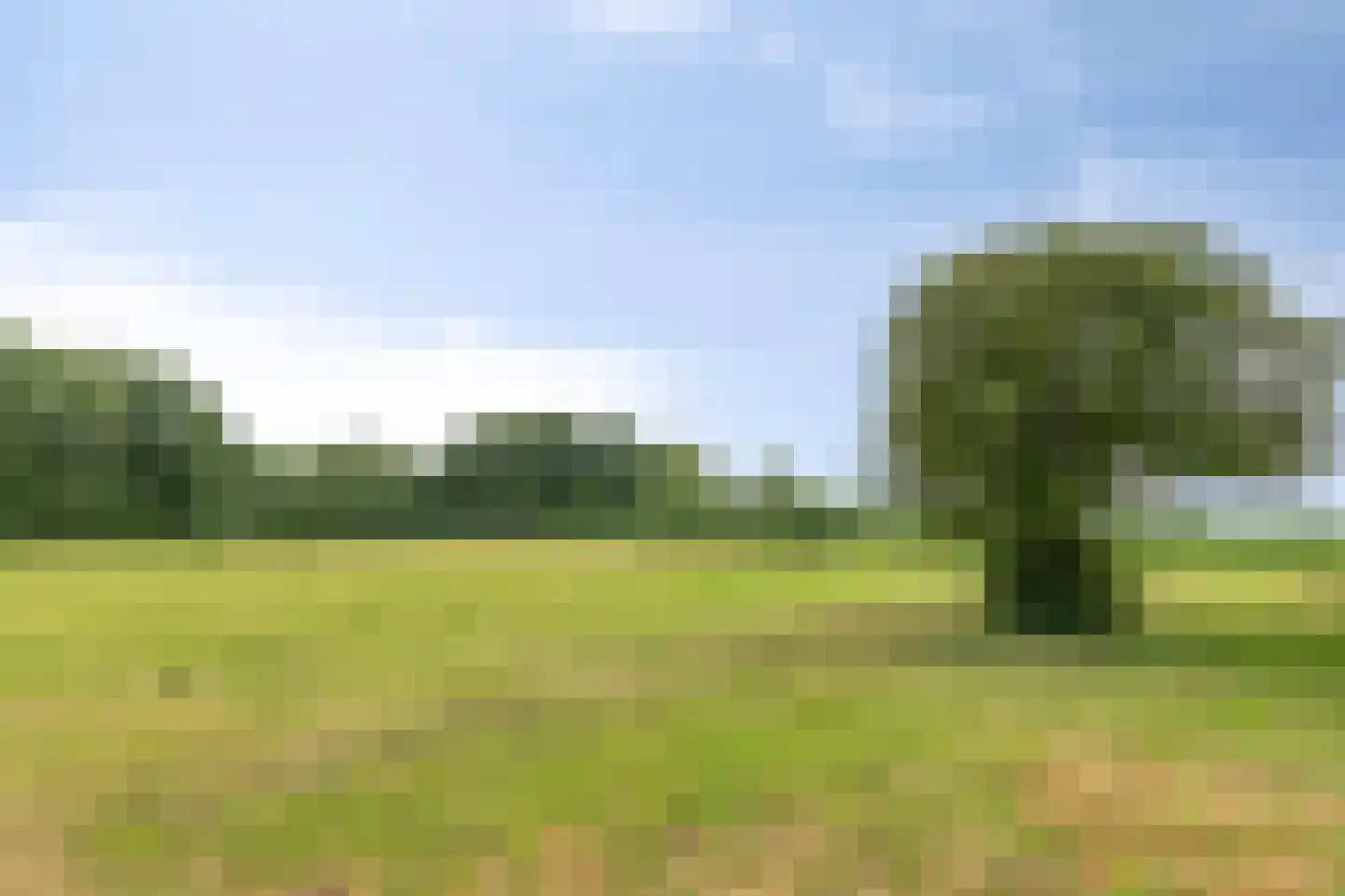 Iegepoeledijk 12 Langedijke thumbnail 34
