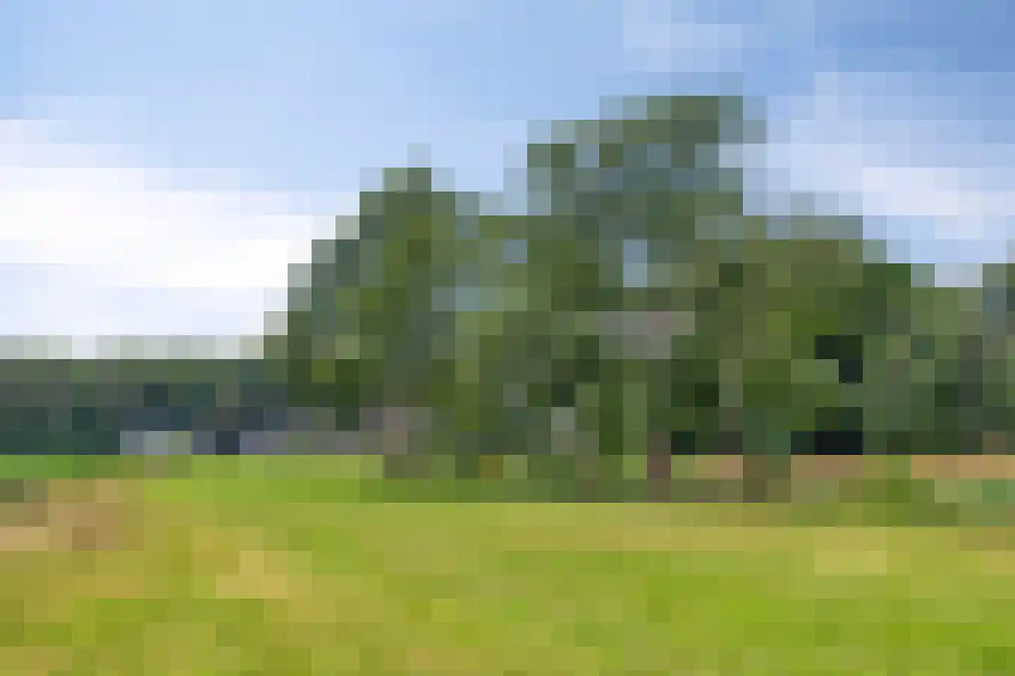 Iegepoeledijk 12 Langedijke thumbnail 35