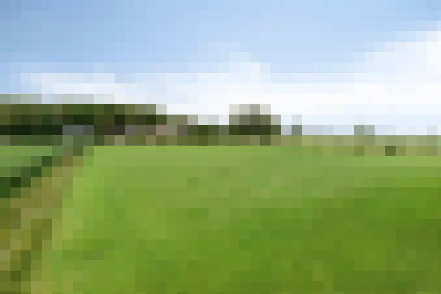 Iegepoeledijk 12 Langedijke thumbnail 40