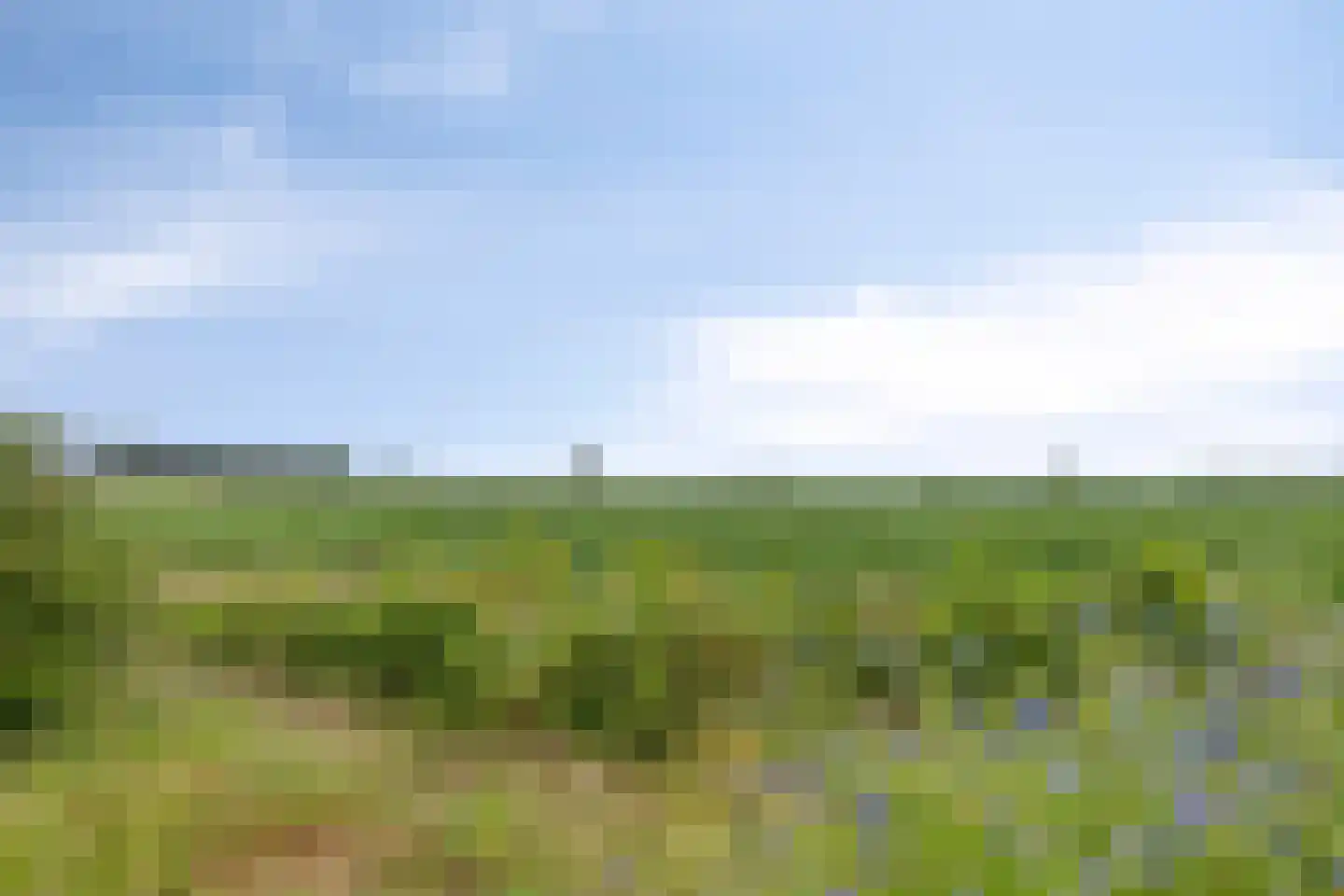Iegepoeledijk 12 Langedijke thumbnail 46