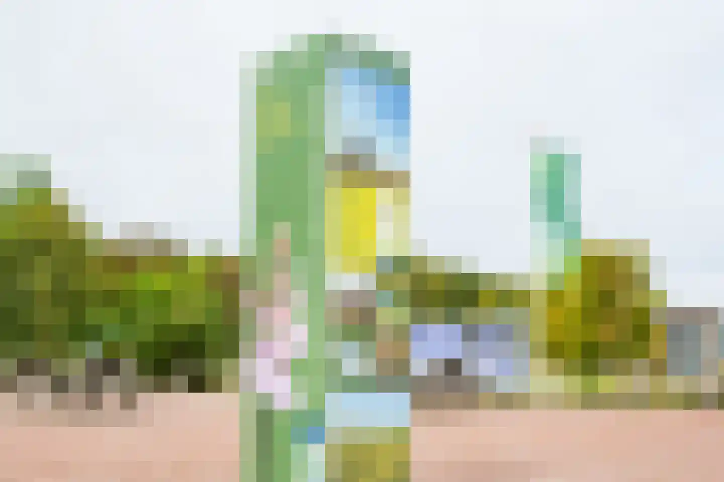 Iegepoeledijk 12 Langedijke thumbnail 51