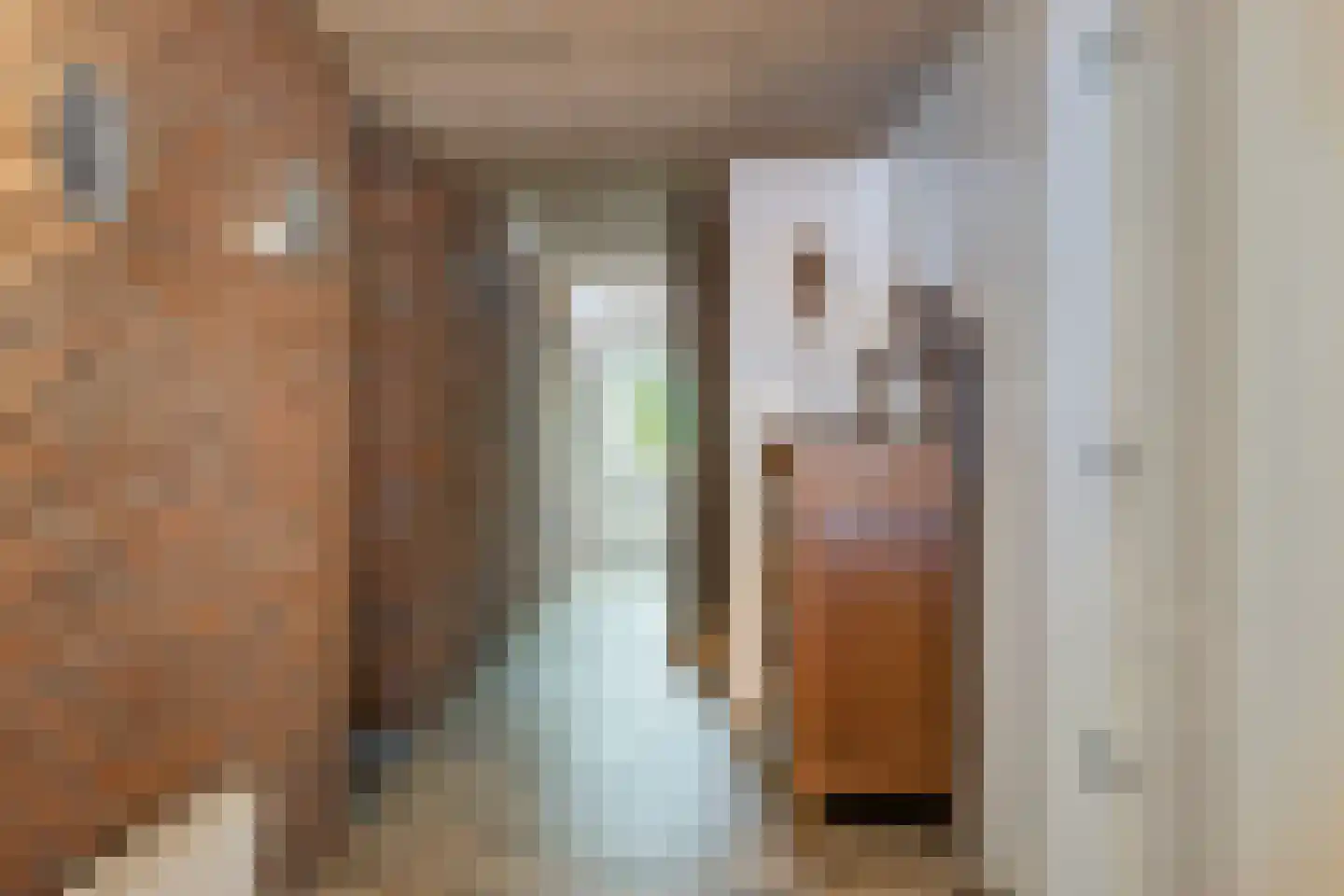 Iegepoeledijk 12 Langedijke thumbnail 7