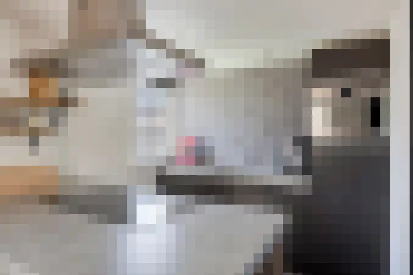 Iekakkers 3 Diever thumbnail 12