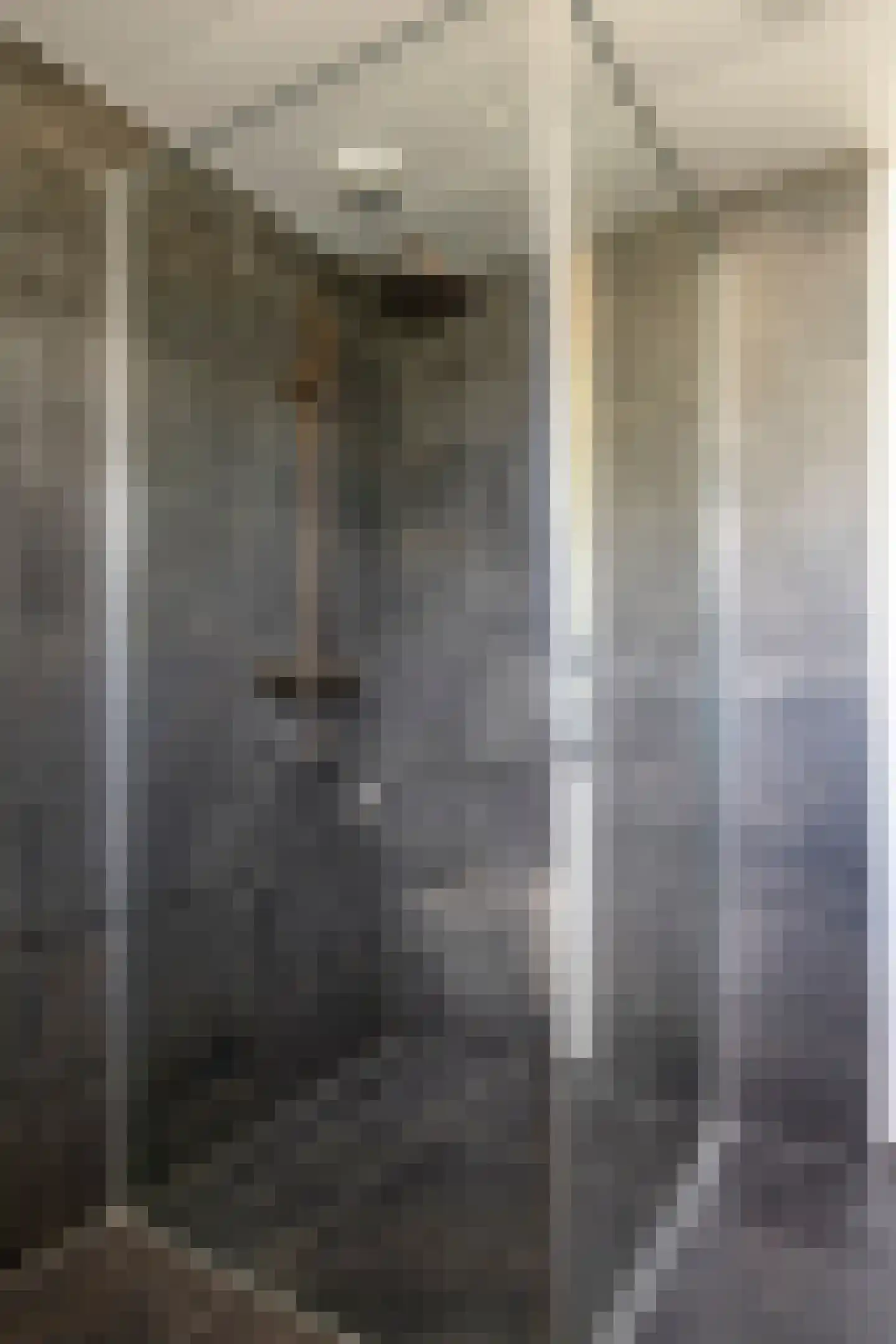 Iekakkers 3 Diever thumbnail 21