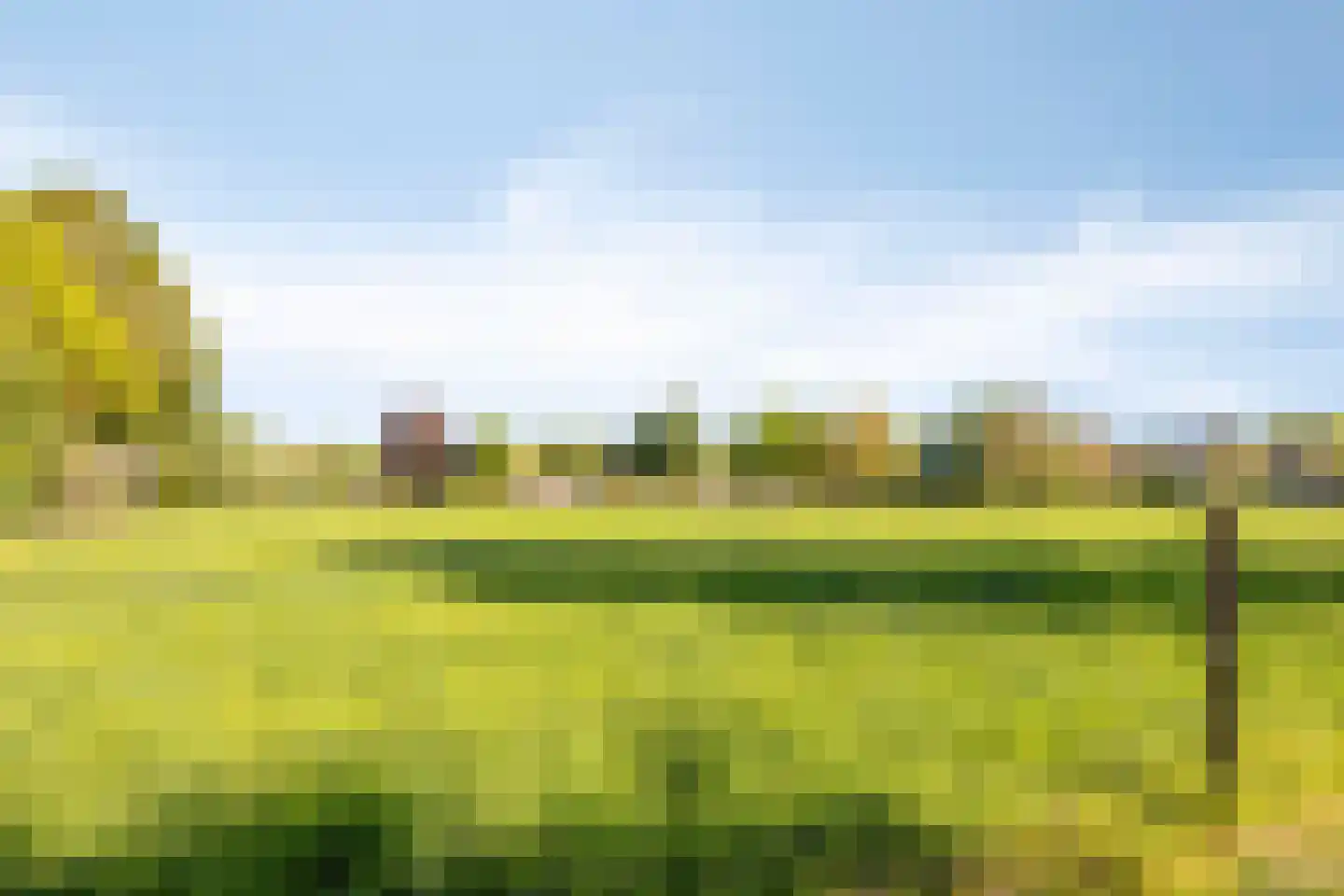 Iekakkers 3 Diever thumbnail 37