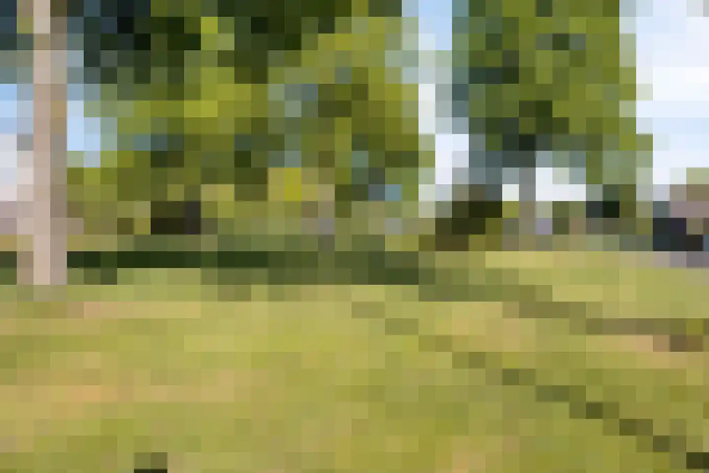 Iekakkers 3 Diever thumbnail 38