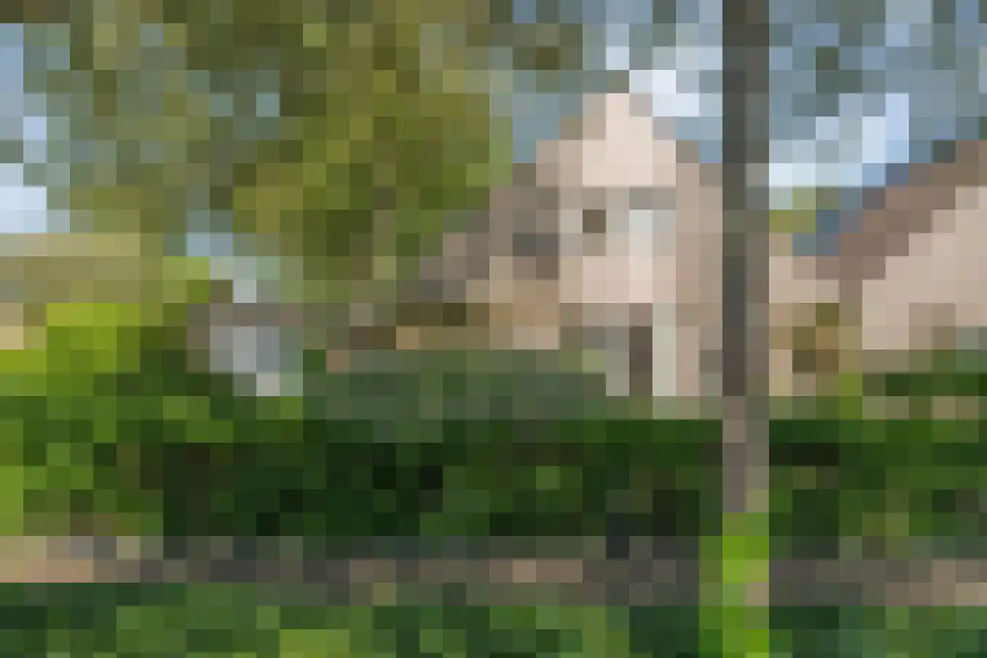 Iekakkers 4 Diever thumbnail 10