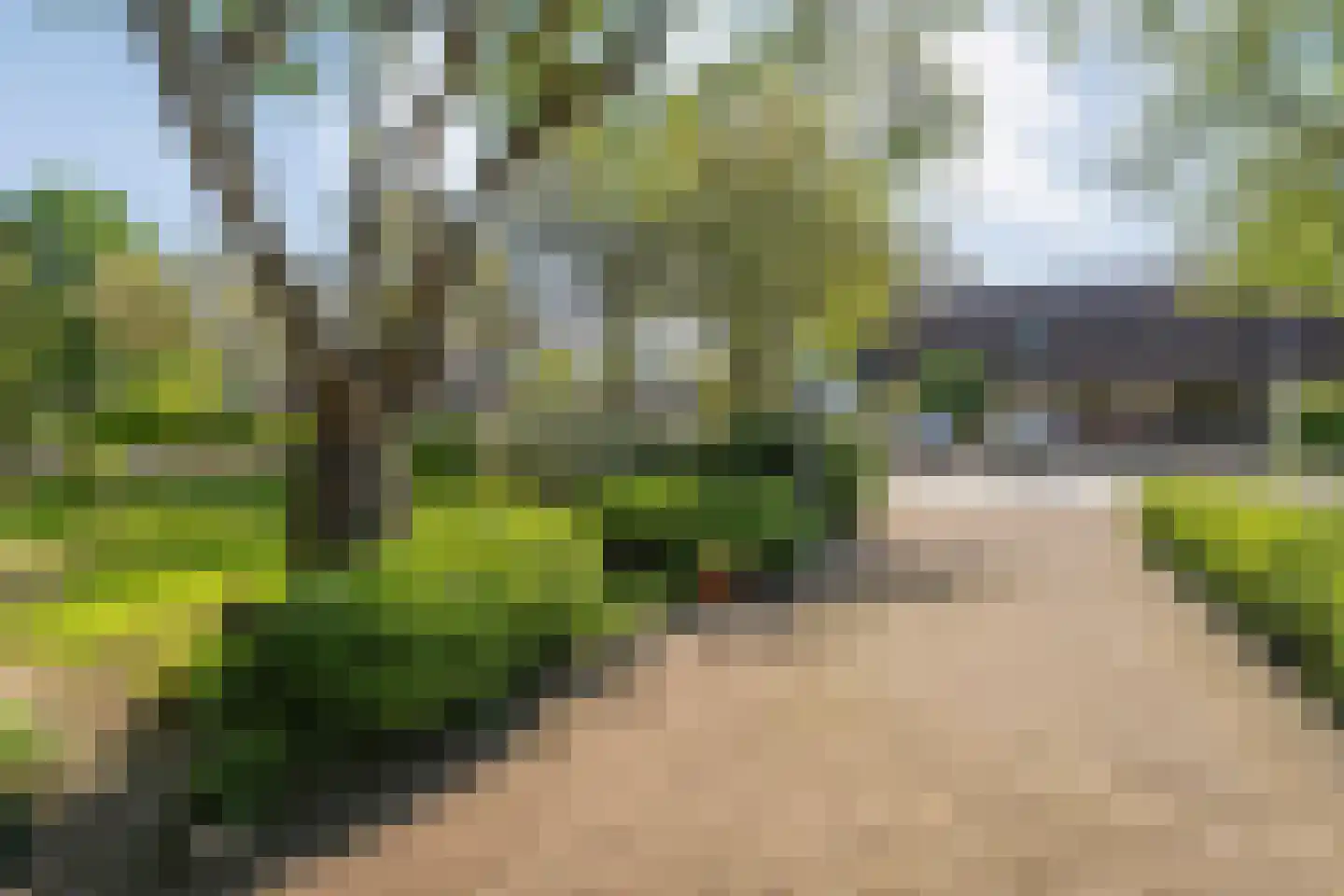 Iekakkers 4 Diever thumbnail 14