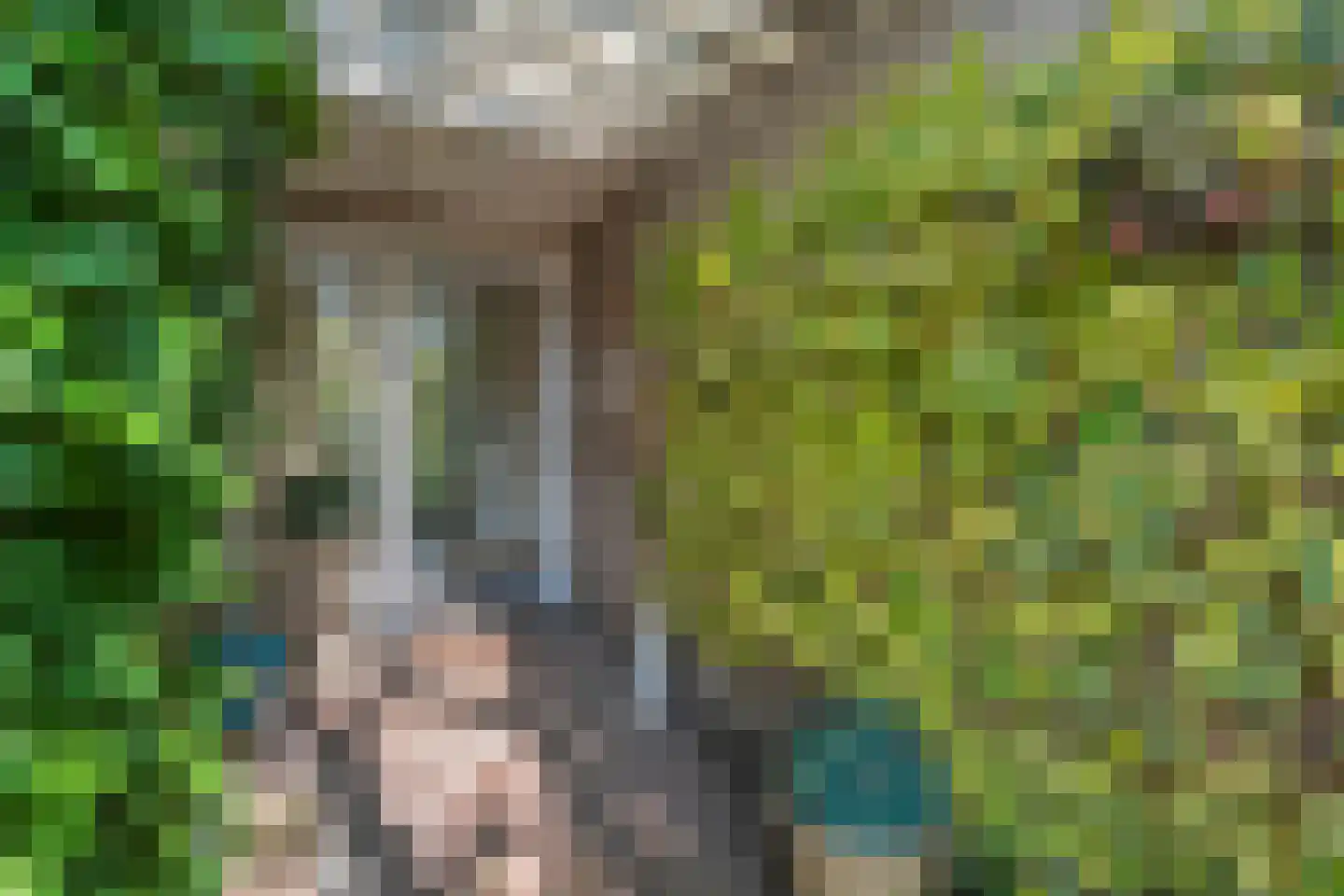 Iekakkers 4 Diever thumbnail 15