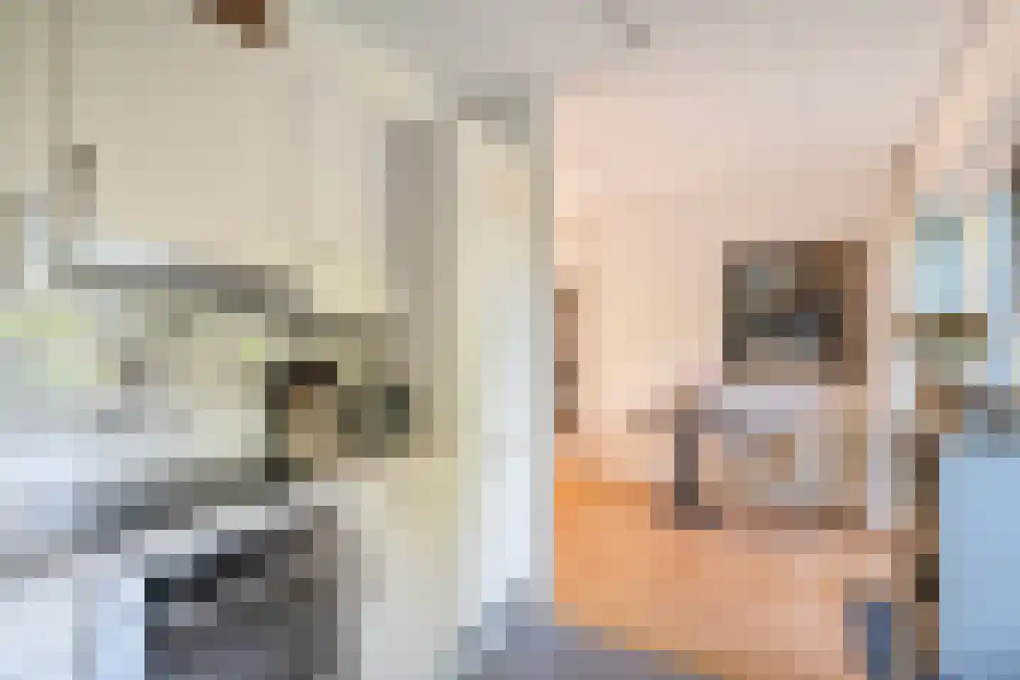 Iekakkers 4 Diever thumbnail 24
