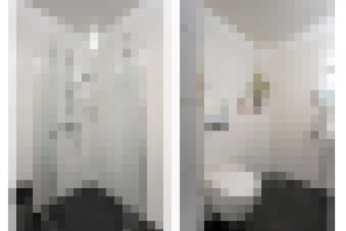 Iekakkers 4 Diever thumbnail 29