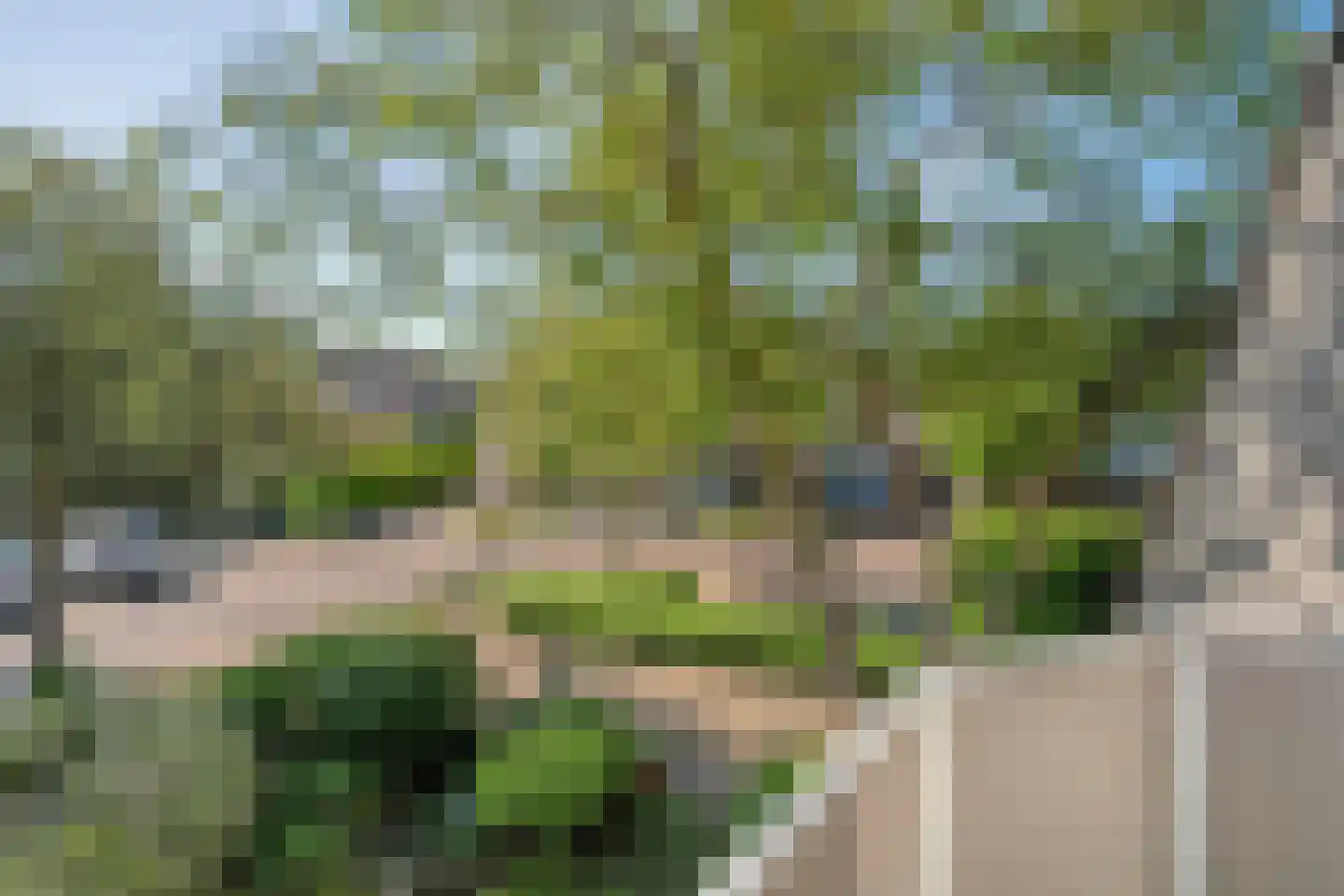 Iekakkers 4 Diever thumbnail 34
