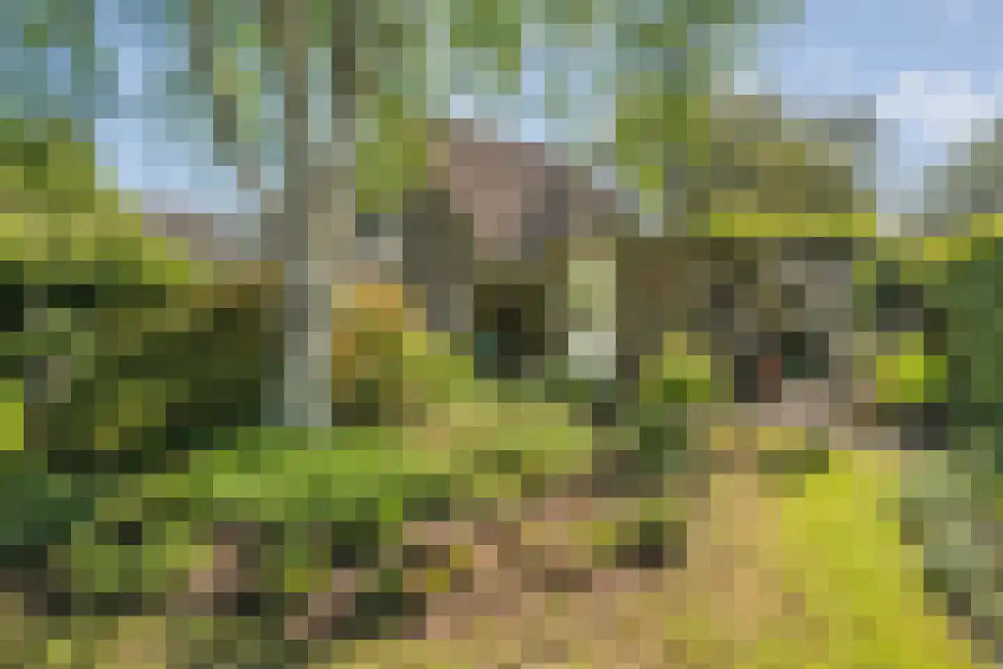 Iekakkers 4 Diever thumbnail 43