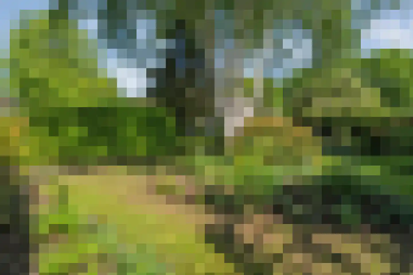 Iekakkers 4 Diever thumbnail 45
