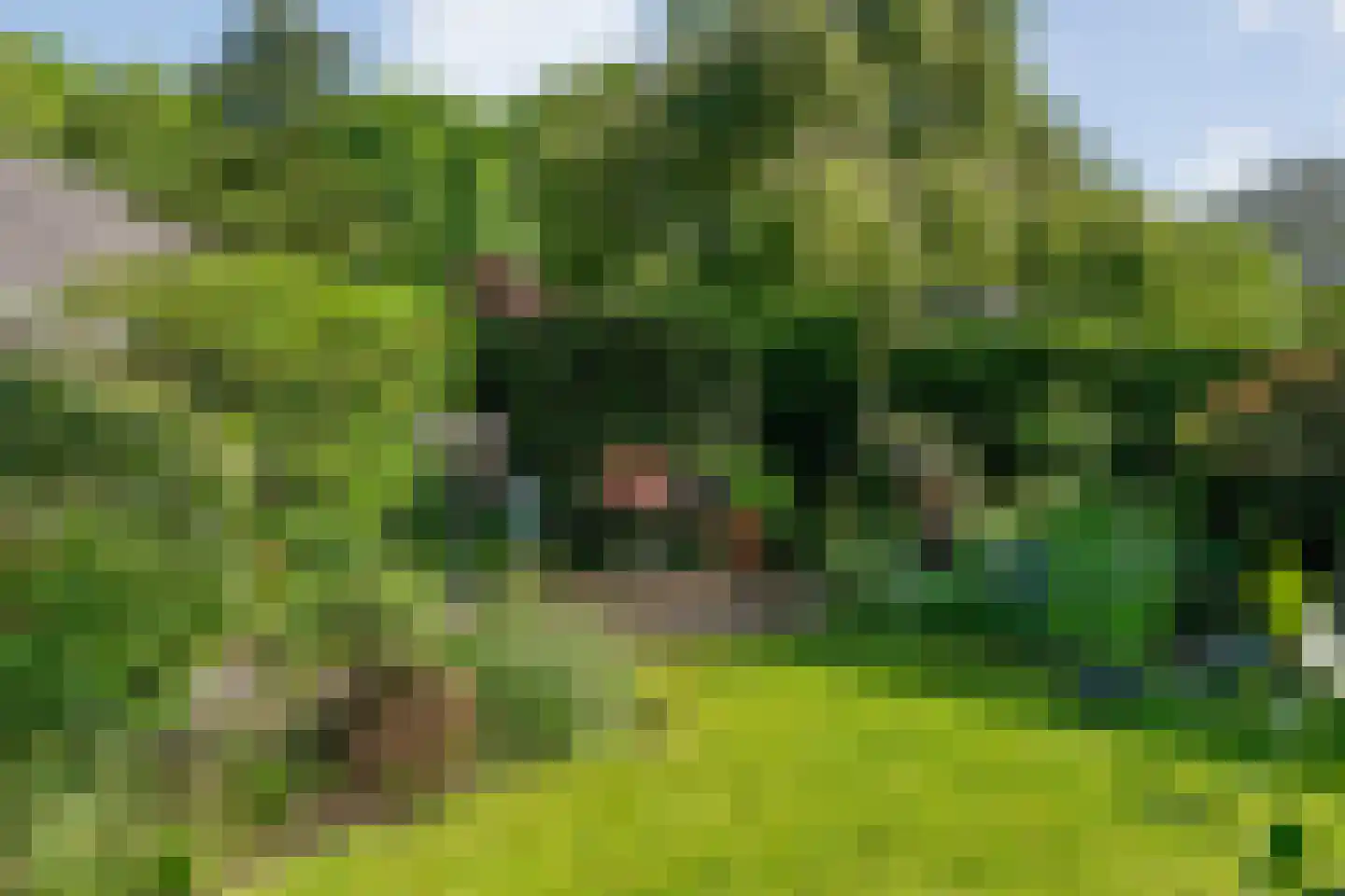 Iekakkers 4 Diever thumbnail 46