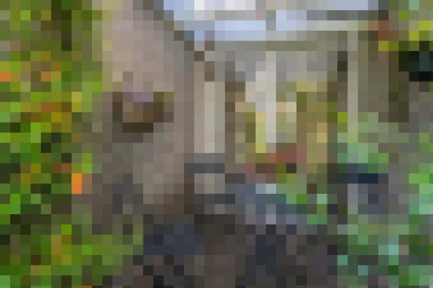 Iekakkers 4 Diever thumbnail 47