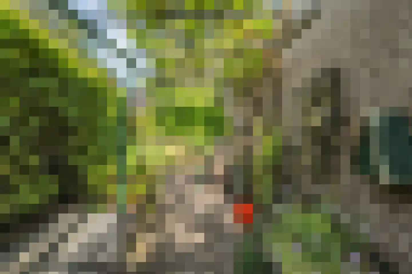 Iekakkers 4 Diever thumbnail 48