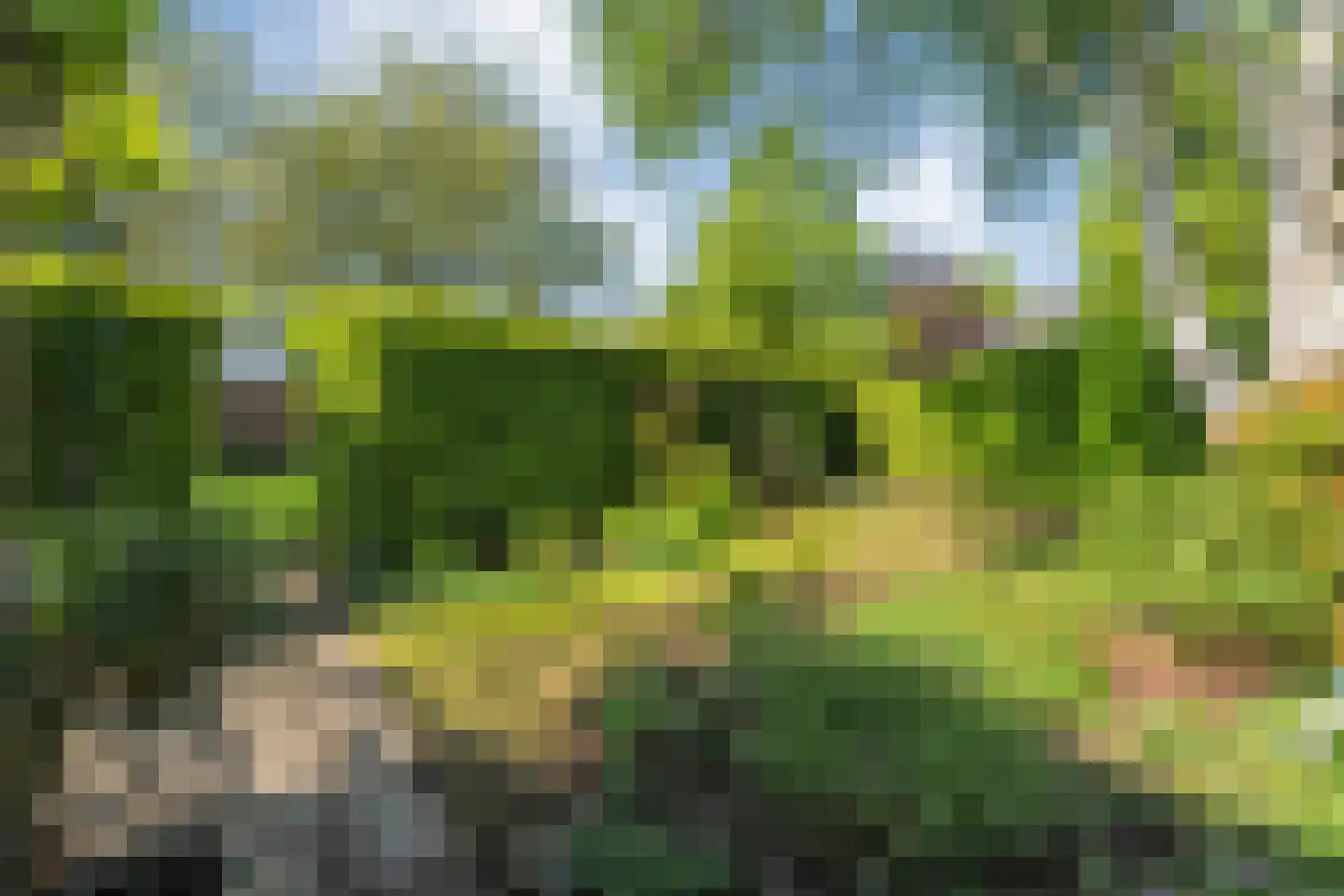 Iekakkers 4 Diever thumbnail 49
