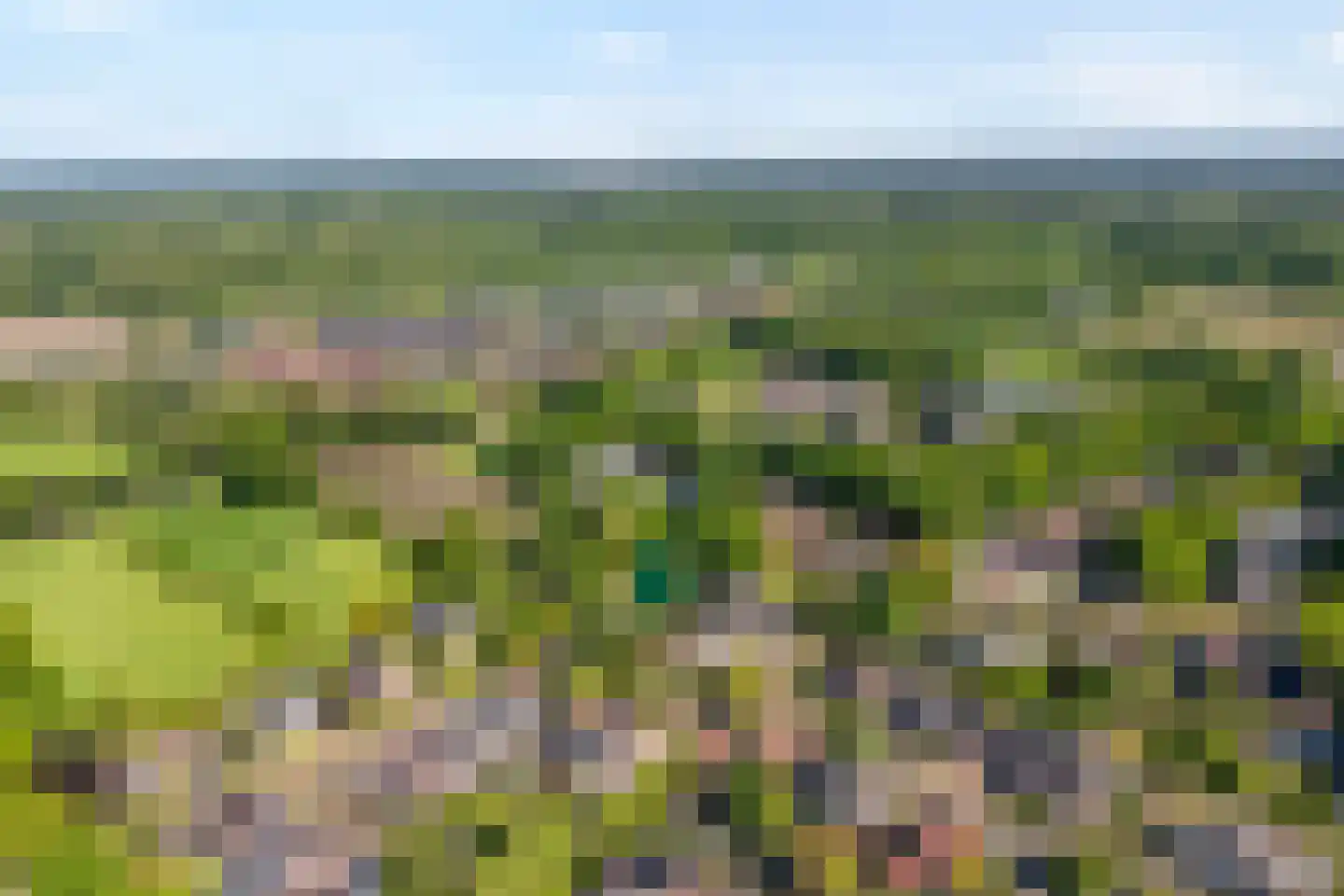 Iekakkers 4 Diever thumbnail 5