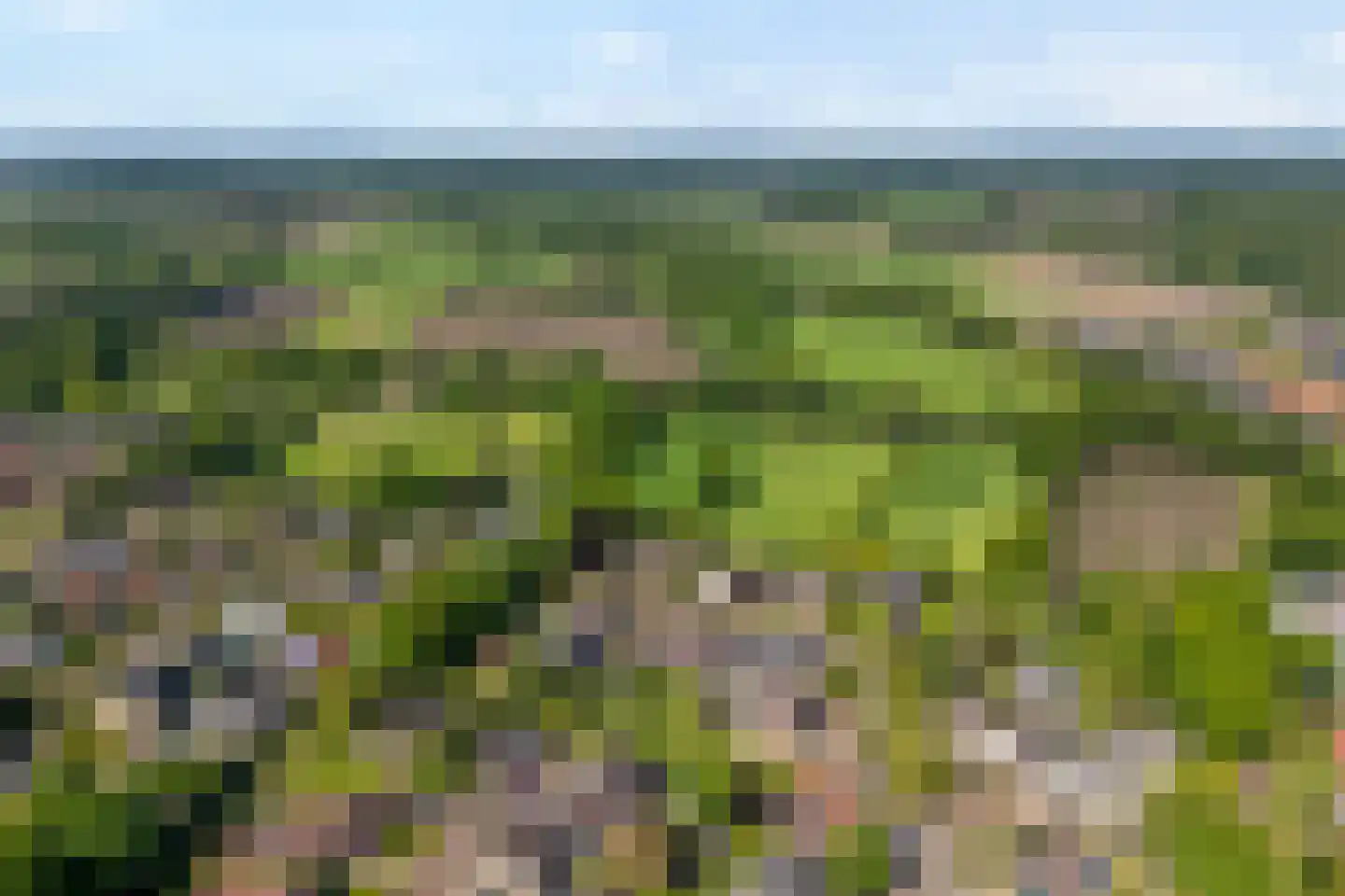 Iekakkers 4 Diever thumbnail 7