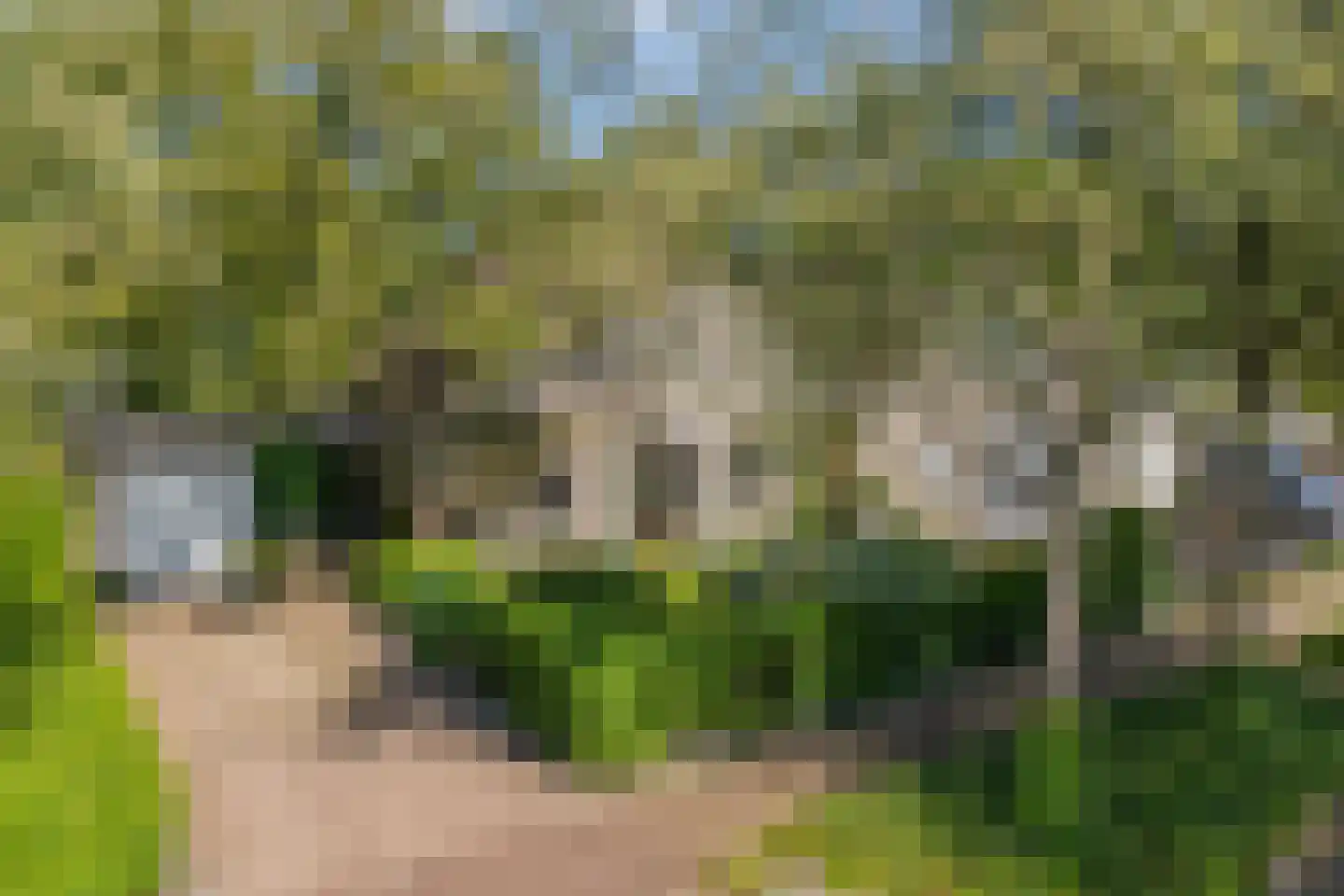 Iekakkers 4 Diever thumbnail 9