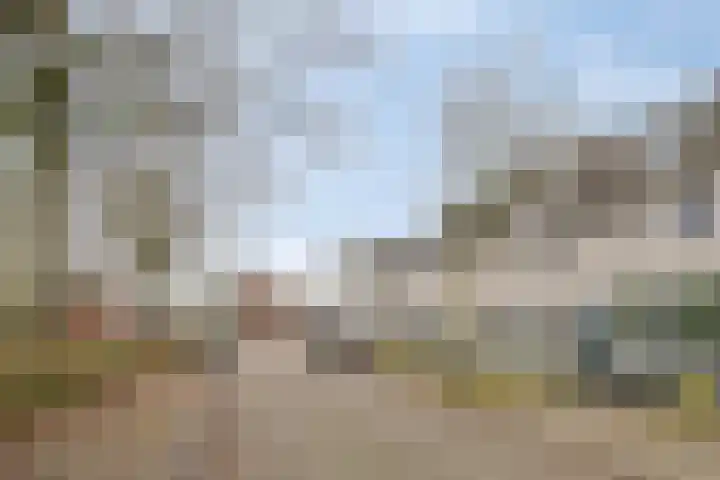 Iekendonksevoort 29 Helmond thumbnail 4