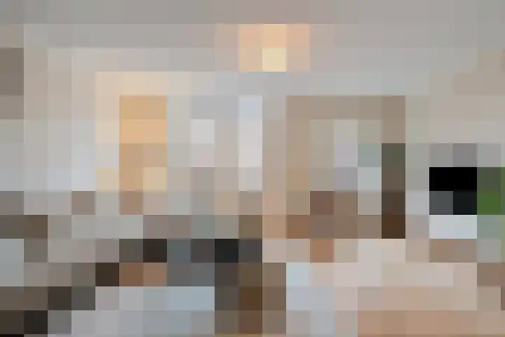 Iekendonksevoort 29 Helmond thumbnail 7