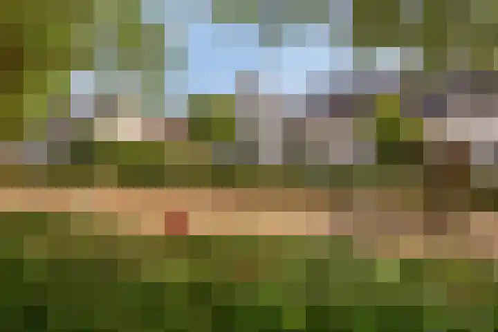 Iekendonksevoort 31 Helmond thumbnail 10