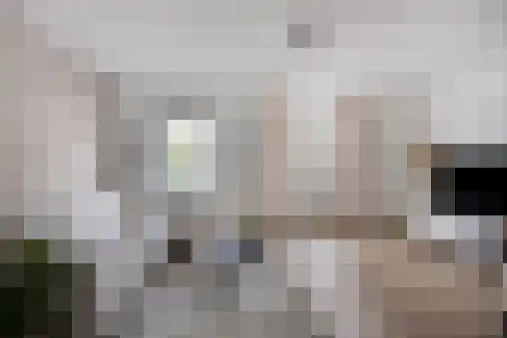 Iekendonksevoort 31 Helmond thumbnail 13