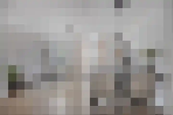 Iekendonksevoort 31 Helmond thumbnail 14