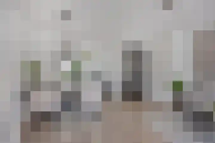 Iekendonksevoort 31 Helmond thumbnail 15
