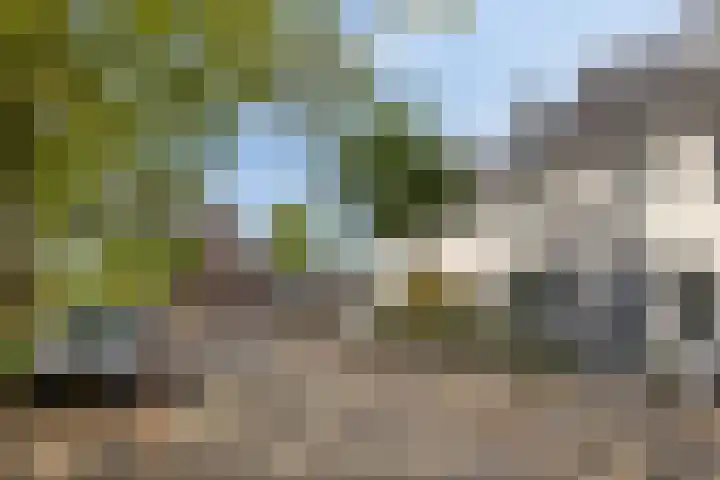 Iekendonksevoort 31 Helmond thumbnail 9