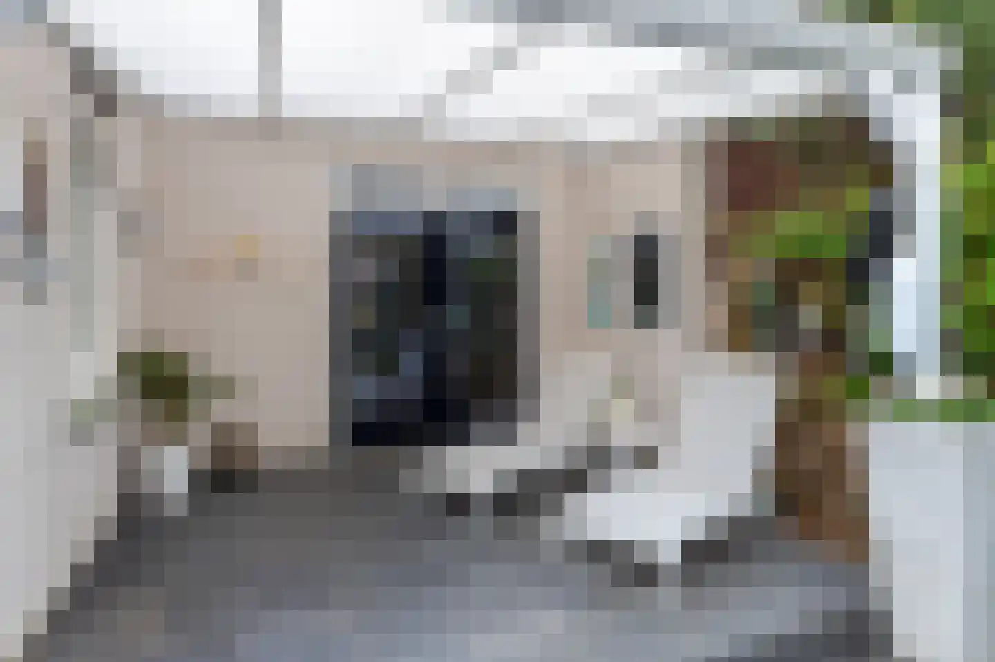 Iekendonksevoort 47 Helmond thumbnail 32