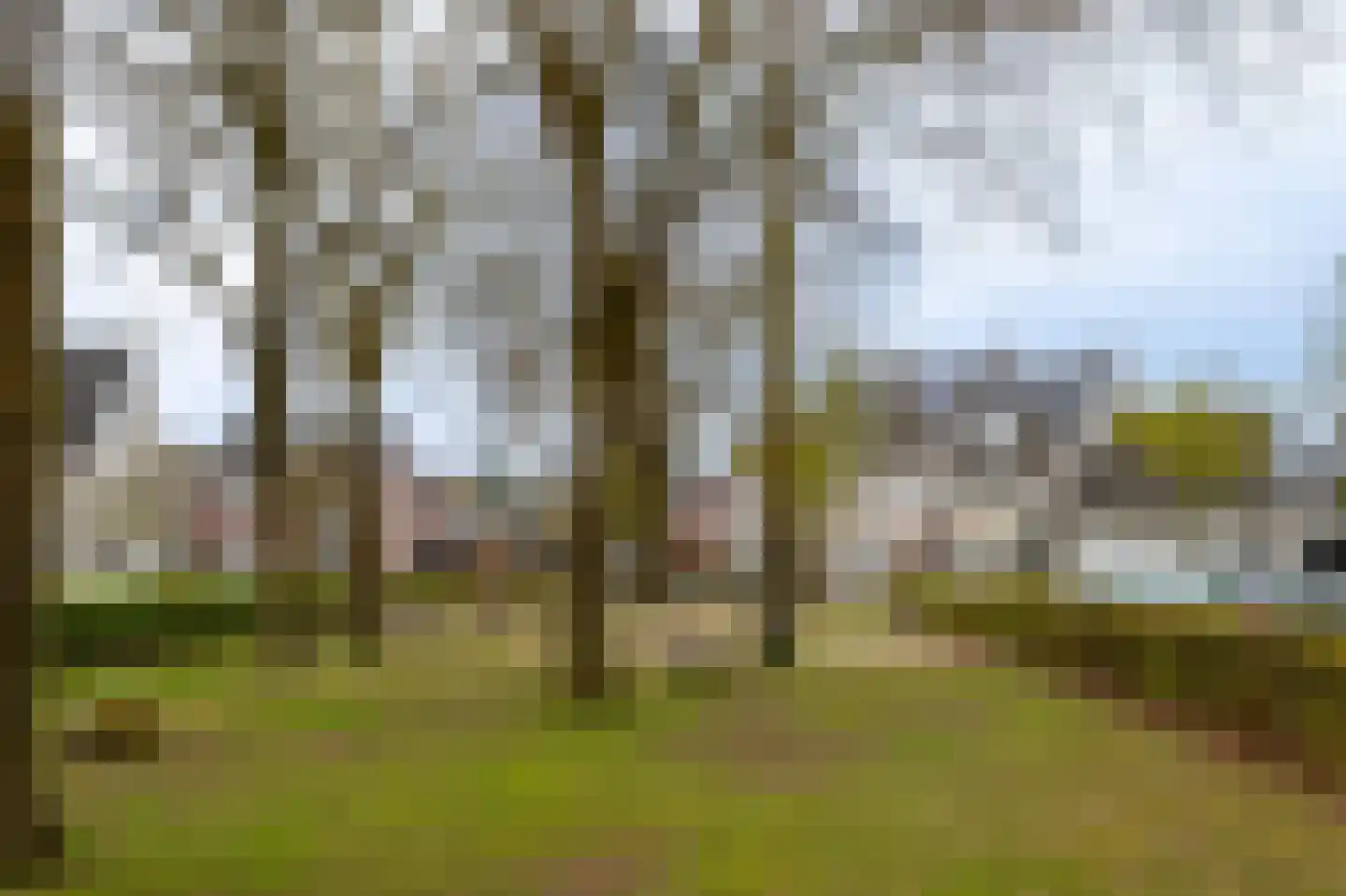 Iekendonksevoort 47 Helmond thumbnail 42