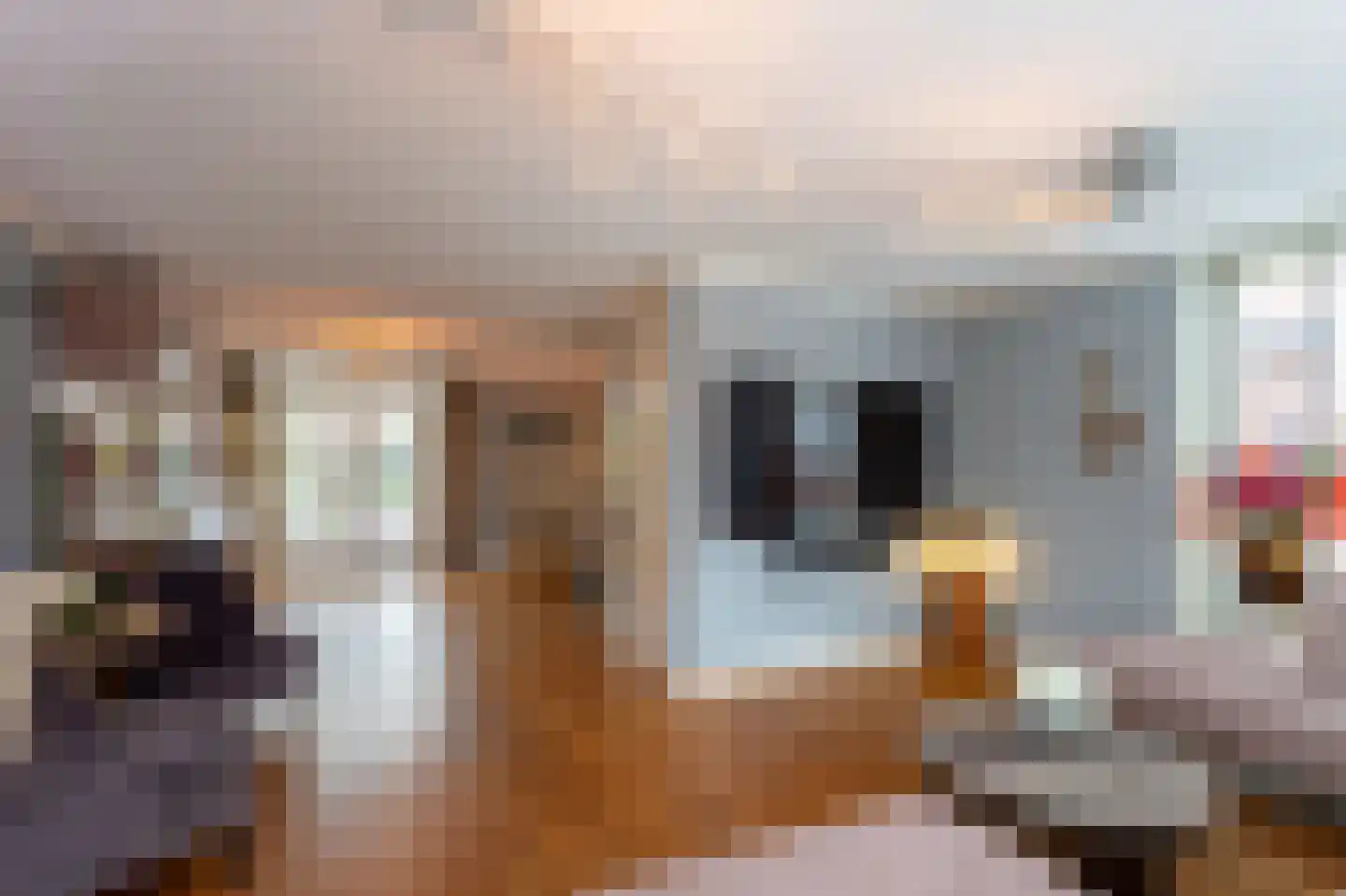 Iekendonksevoort 47 Helmond thumbnail 5