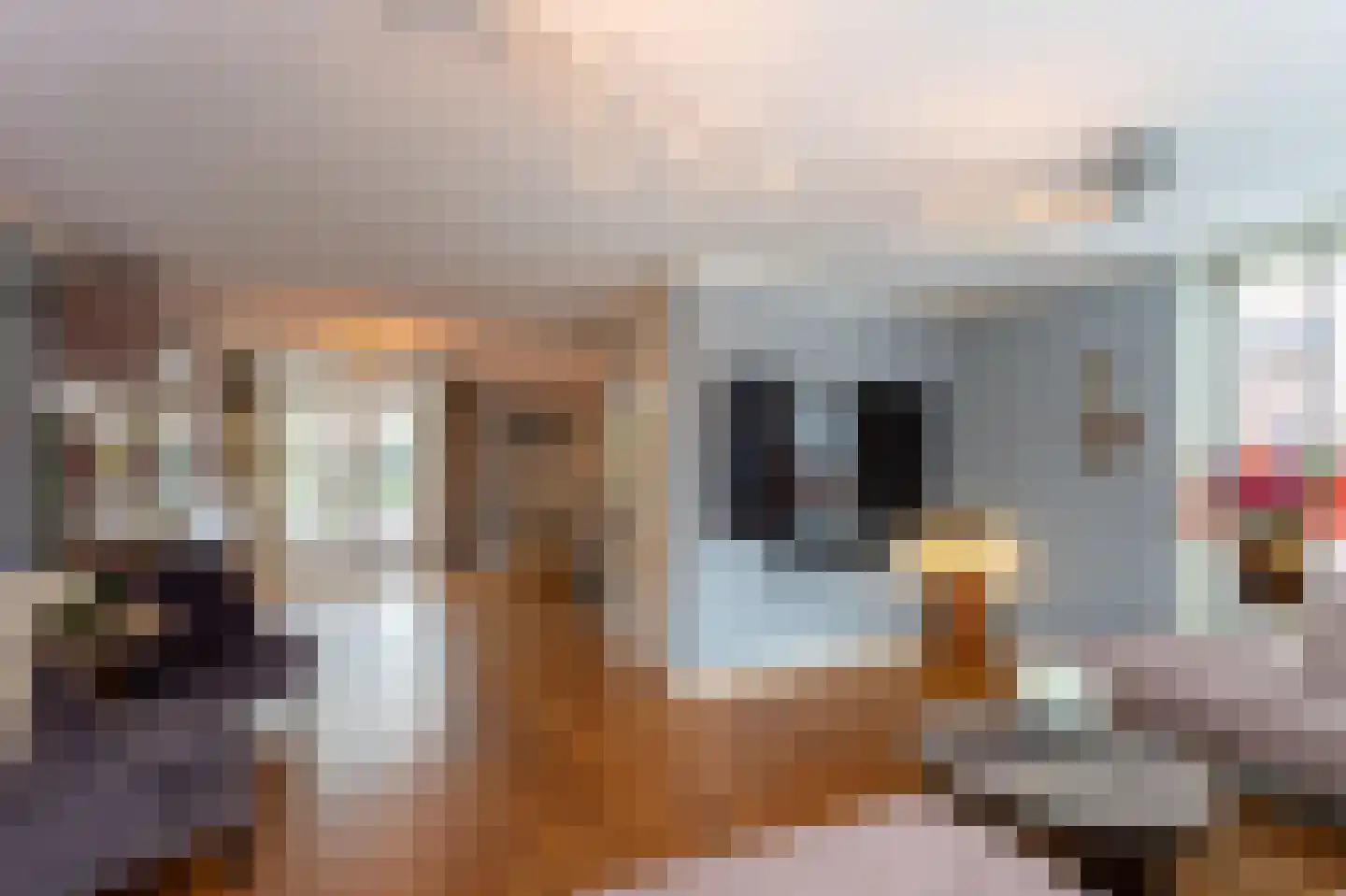 Iekendonksevoort 47 Helmond thumbnail 5