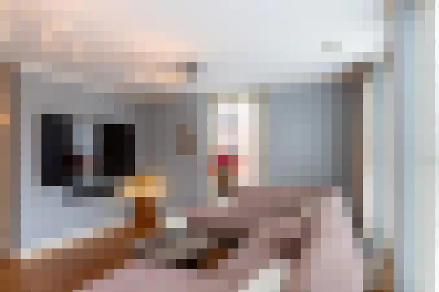 Iekendonksevoort 47 Helmond thumbnail 6