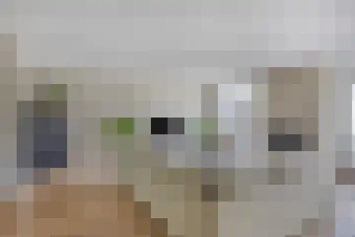 Iekendonksevoort 55 Helmond thumbnail 18