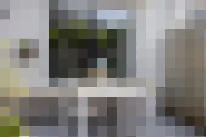 Iekendonksevoort 55 Helmond thumbnail 39