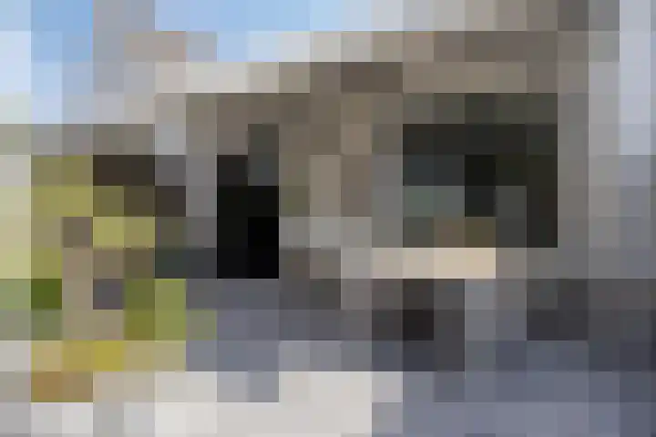 Iekendonksevoort 55 Helmond thumbnail 41