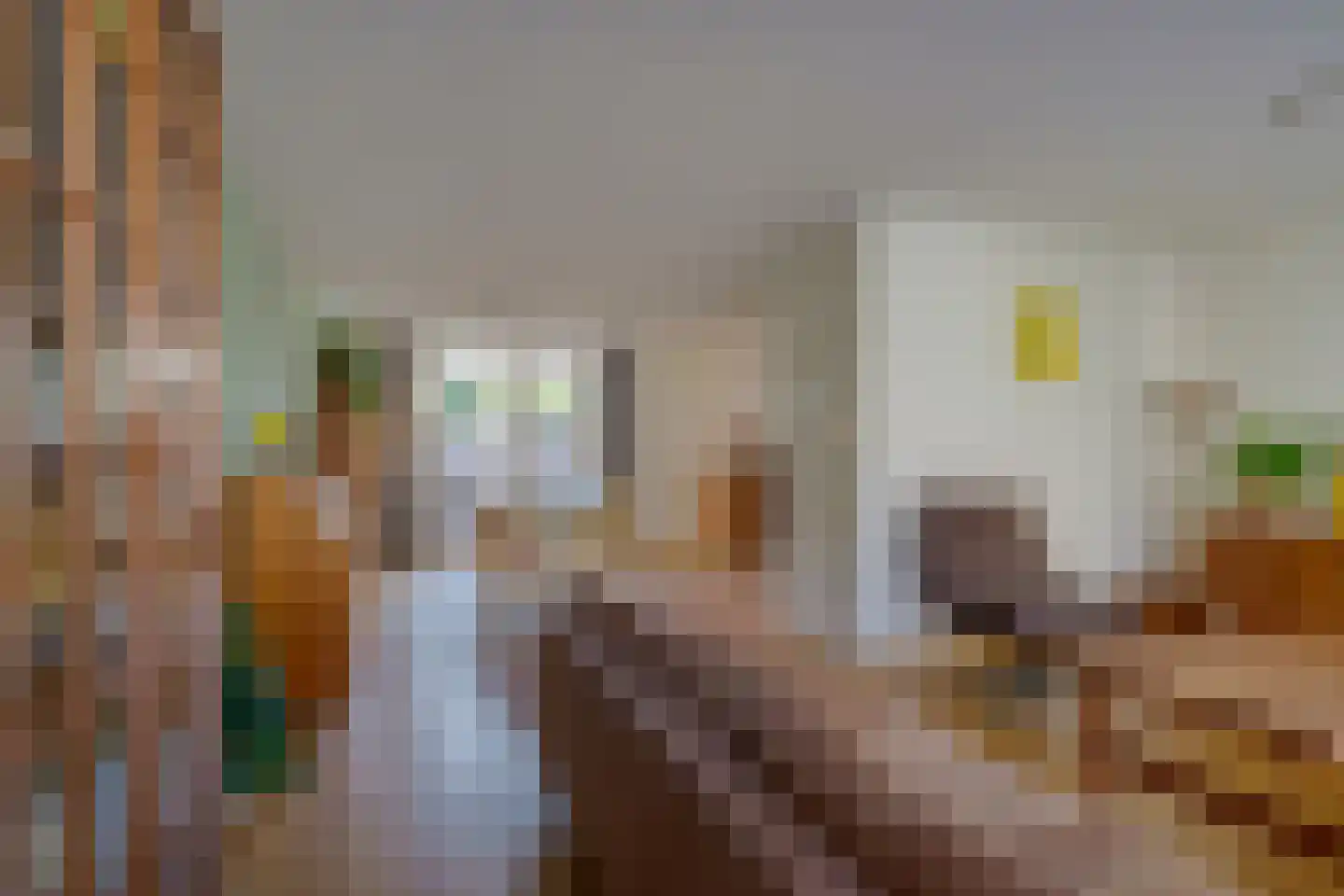 Iekendonksevoort 6 Helmond thumbnail 13
