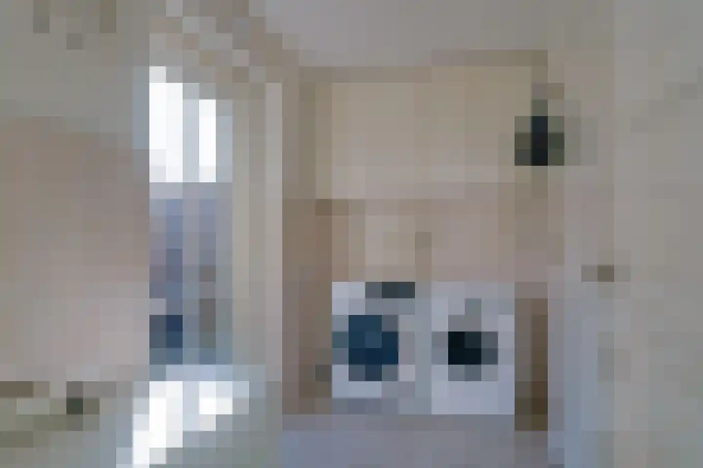 Iekendonksevoort 6 Helmond thumbnail 20